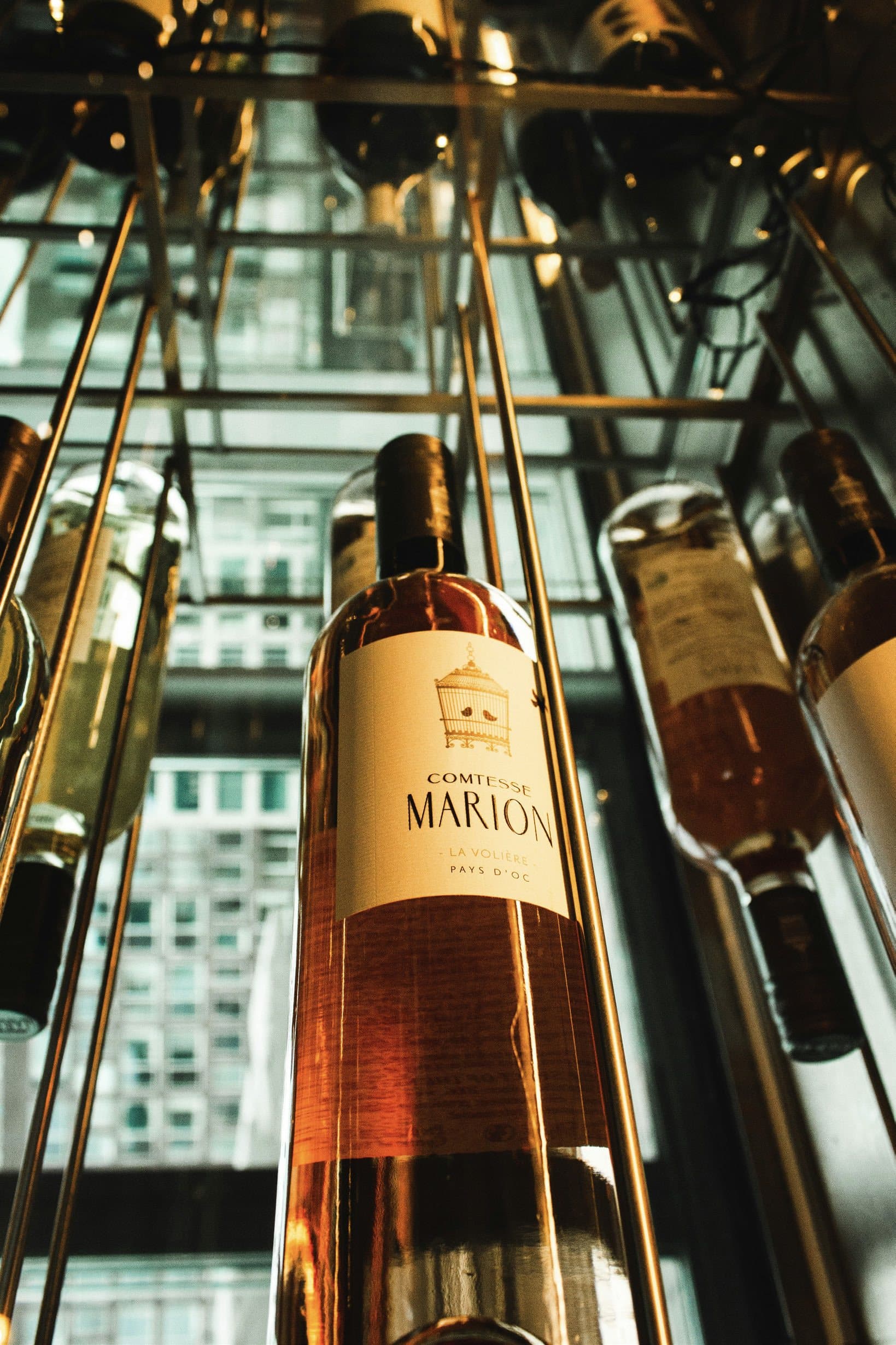 Rosé bottles displayed in a wine rack